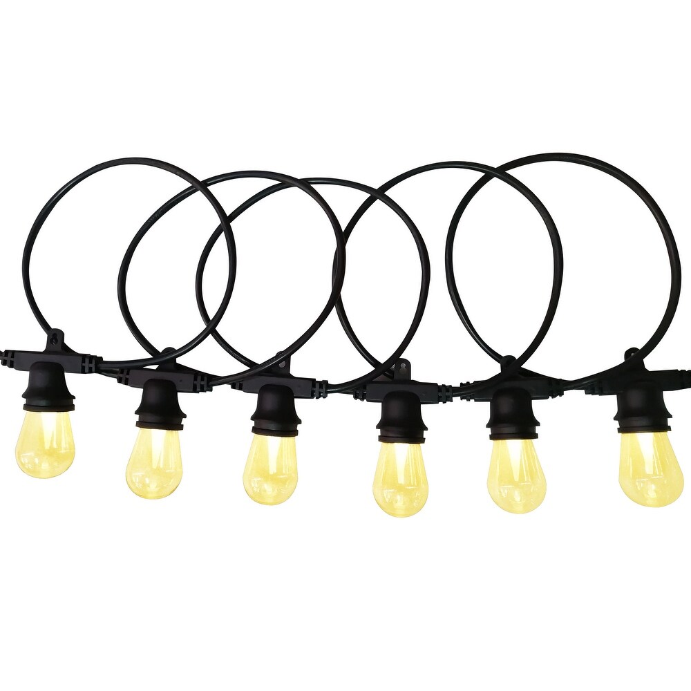 LEDPAX 24 Light 48 ft. Indoor and Outdoor LED String Light  Changing Color Lights   48 Foot