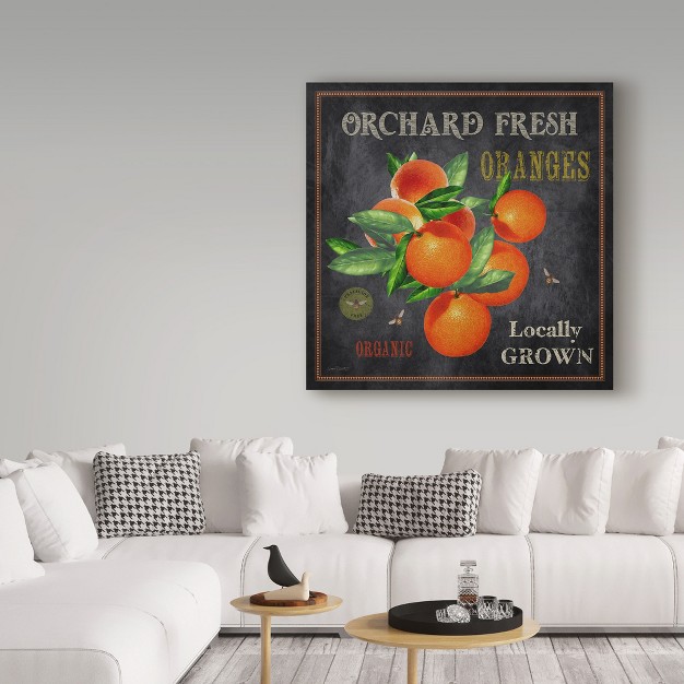 Trademark Fine Art jean Plout x27 orchard Fresh Oranges x27 Canvas Art