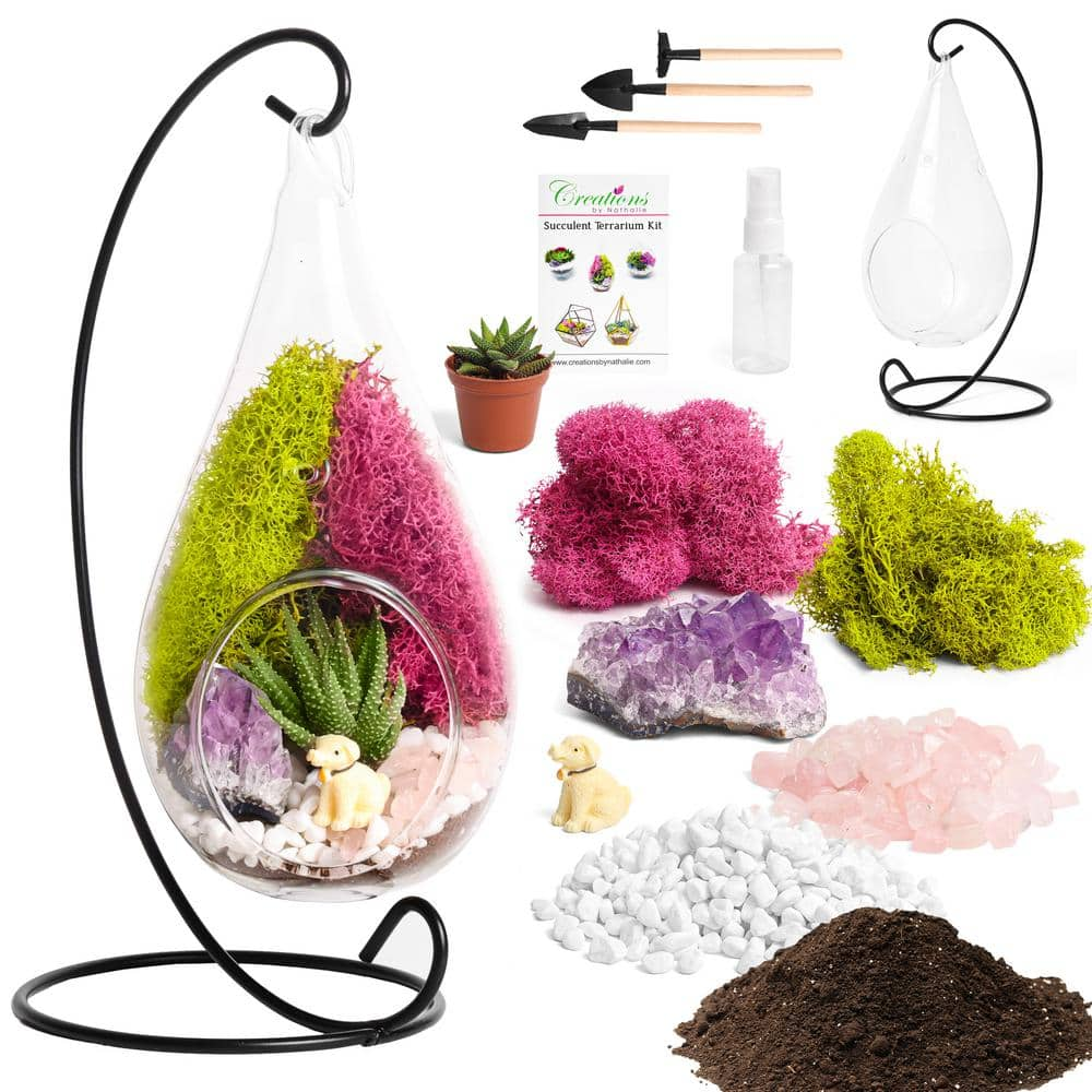 Creations by Nathalie DIY Terrarium Kit with Live Succulent Glass Teardrop Metal Stand Reindeer Moss Crystals Rocks Tools and Figurine CW-OS3V-7UGJ