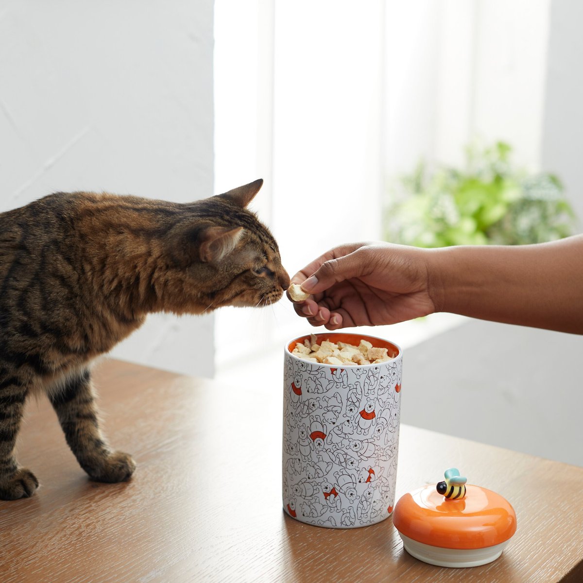 Disney Winnie the Pooh Orange Ceramic Dog and Cat Treat Jar