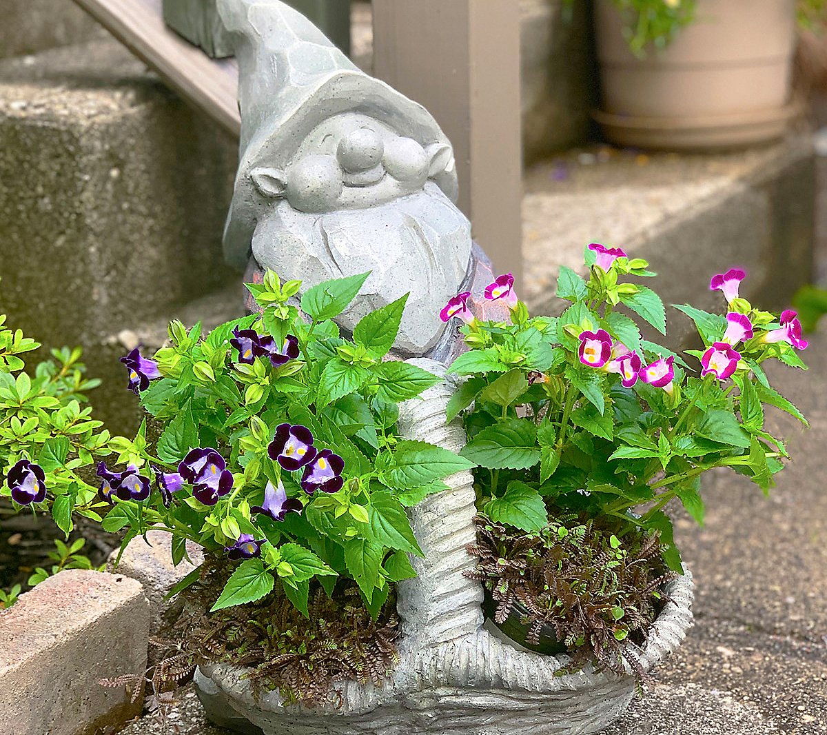 RCS Planter Gnome with Basket Large