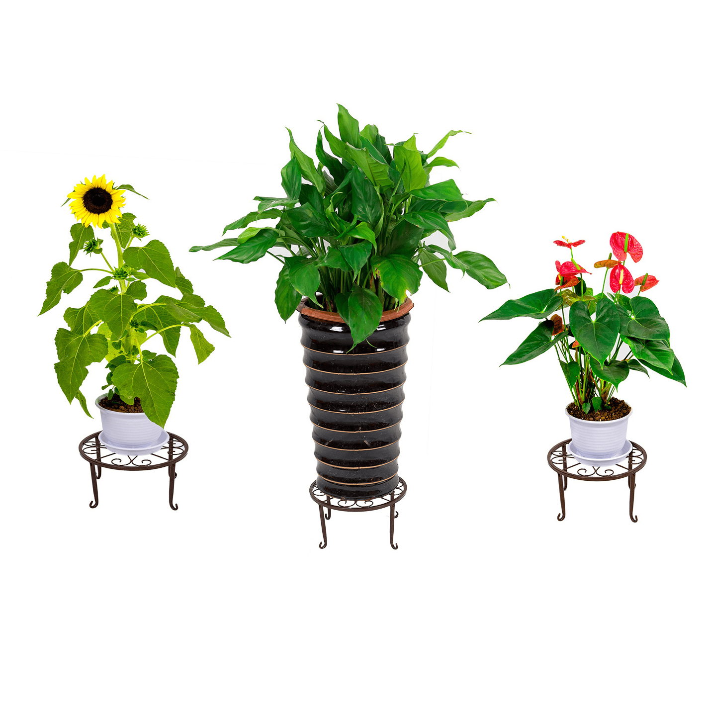 3 Pack Iron Potted Plant Stands for Indoor and Outdoor Flowerpot Holder 9 inches Heavy Duty 50lb Round Rack, Bronze Color