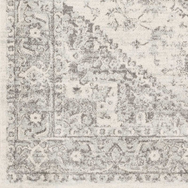 Chartres Traditional Area Rug