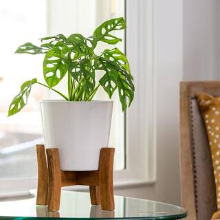 Southern Patio Contemporary Medium 8 in. x 11.02 in. 5 qt. White Ceramic Indoor Planter With Wood Stand CRM-049388