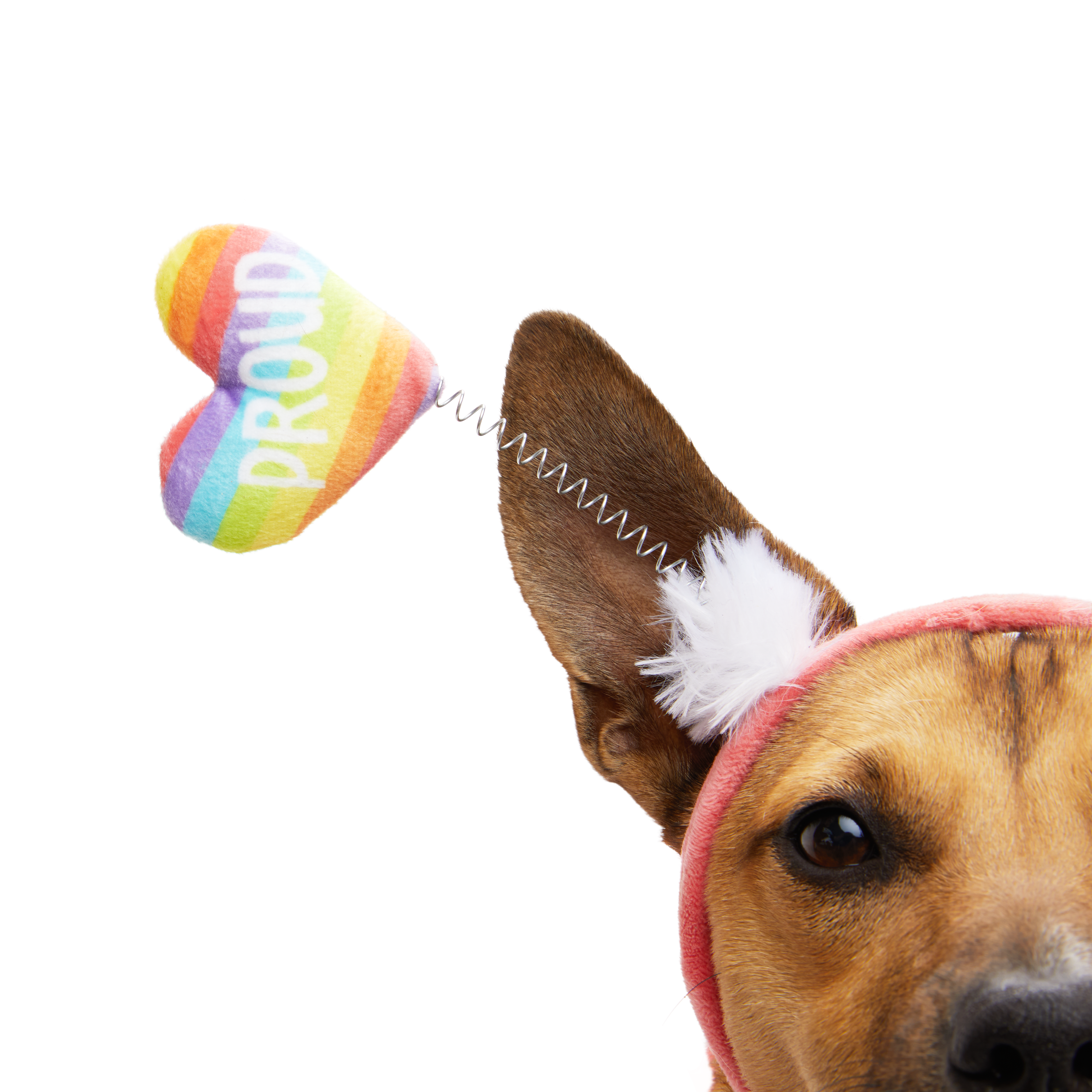 YOULY Pride Rainbow Dog Costume， X-Small