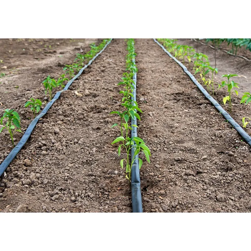 Manufacturer Drip Farming Garden Irrigation Pipe drip irrigation system equipment for corn