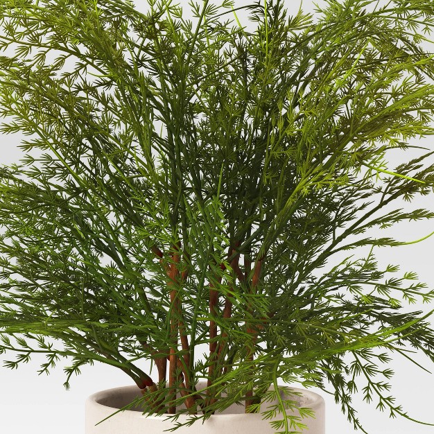 Small Artificial Asparagus Fern - Threshold