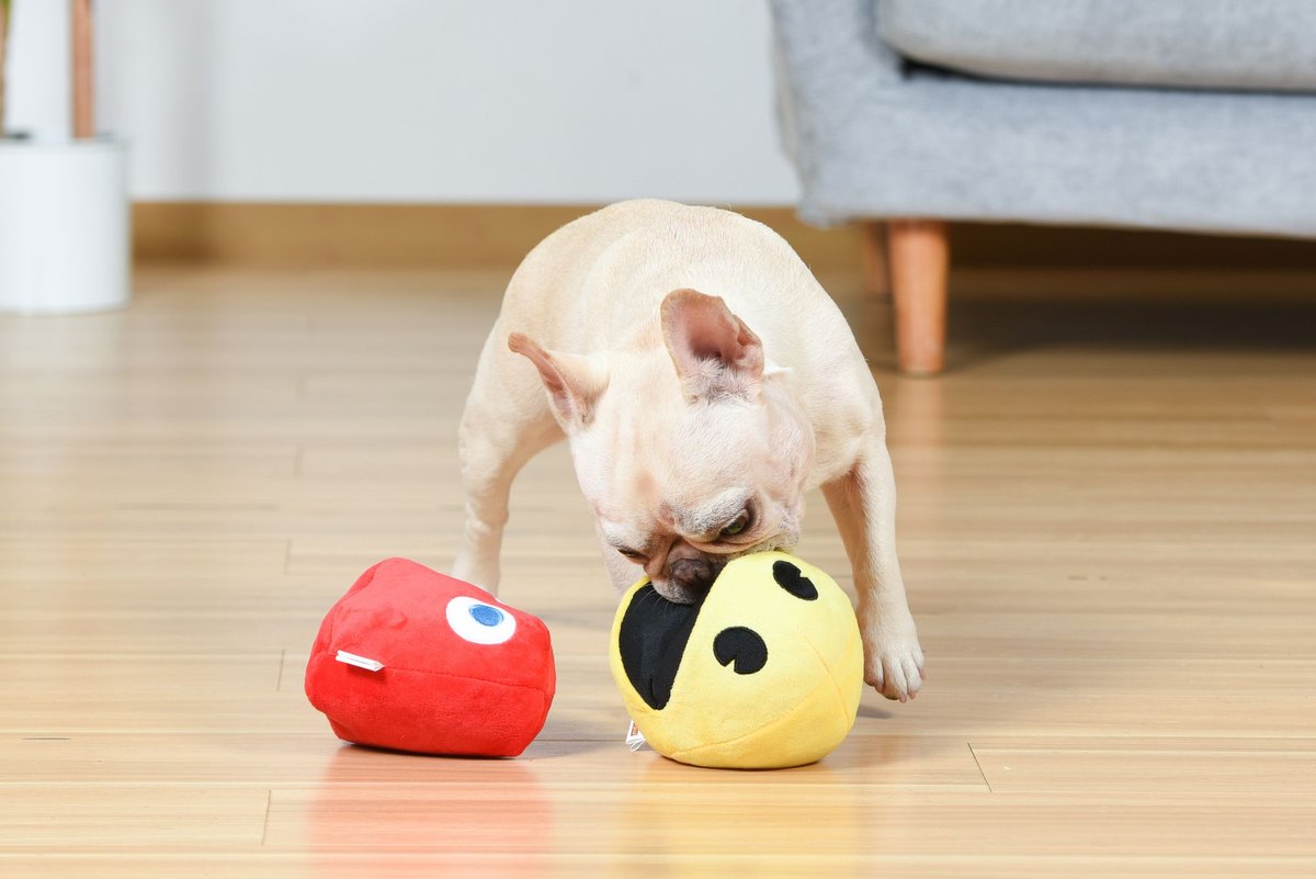 Fetch For Pets Pac-Man Pac-Man and Blinky Plush Squeaky Dog Toy， Small， 2 count