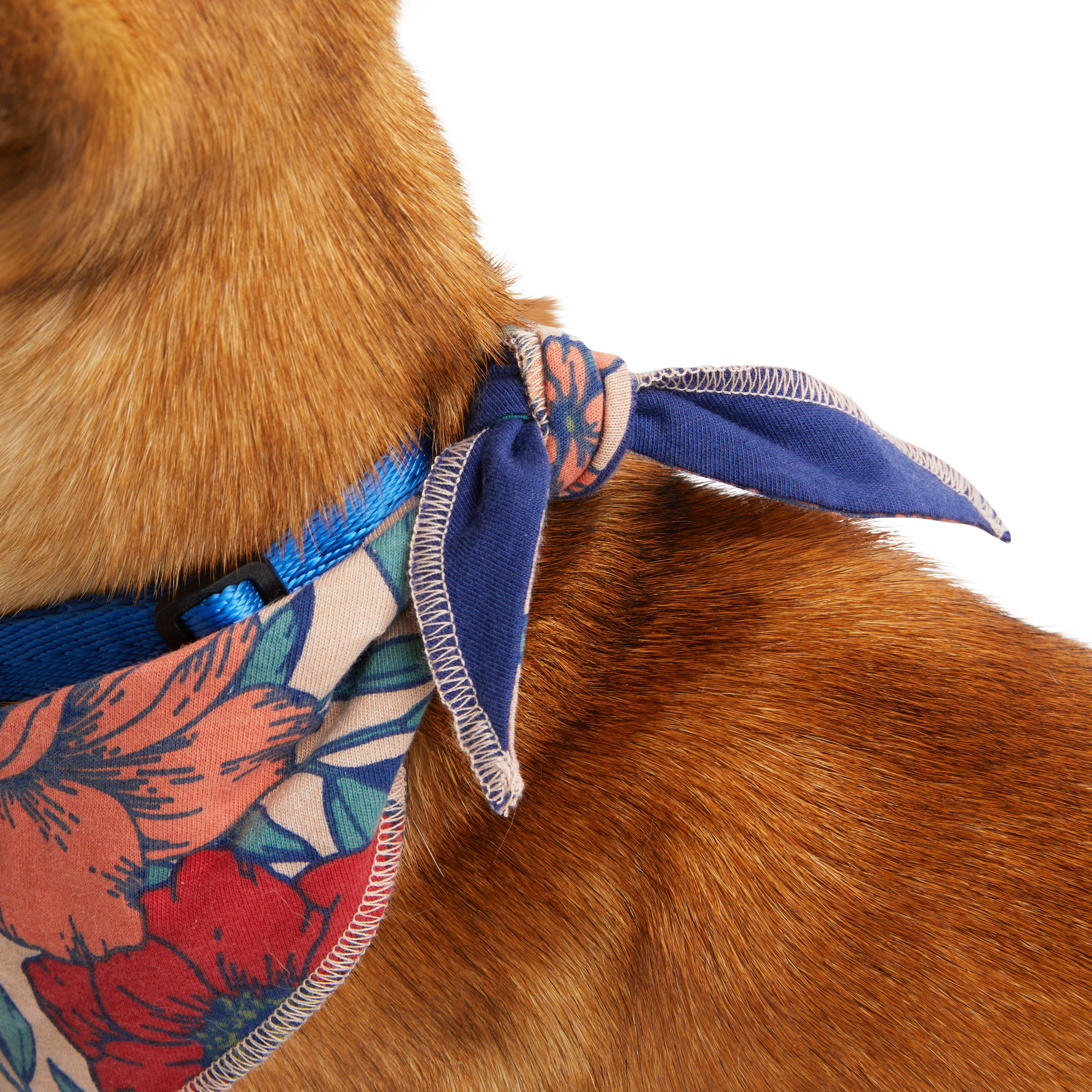 YOULY Floral Reversible Dog Bandana， Small/Medium