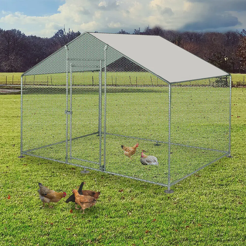 Factory Supply hot dip galvanized chicken coop