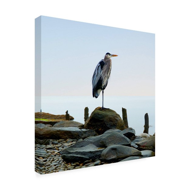 X 24 quot James Mcloughlin x27 beachscape Heron I x27 Unframed Wall Canvas Trademark Fine Art