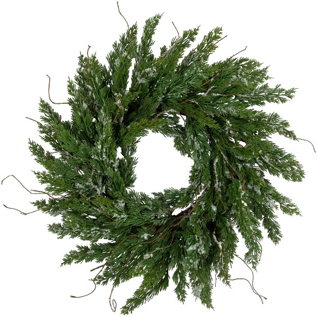 Northlight Iced Cedar Artificial Christmas Wreath 24 inch Unlit