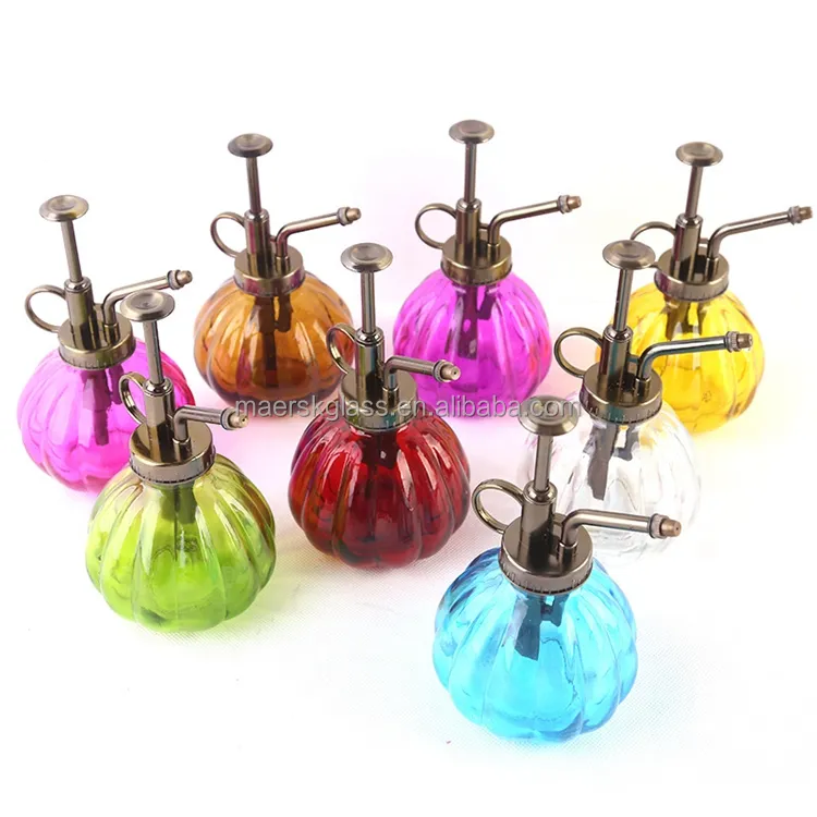 Vintage Style Pump Top Sprayer Water Mister Irrigated Plant Cute Glass Bottle Watering Can Pot with Sprayer