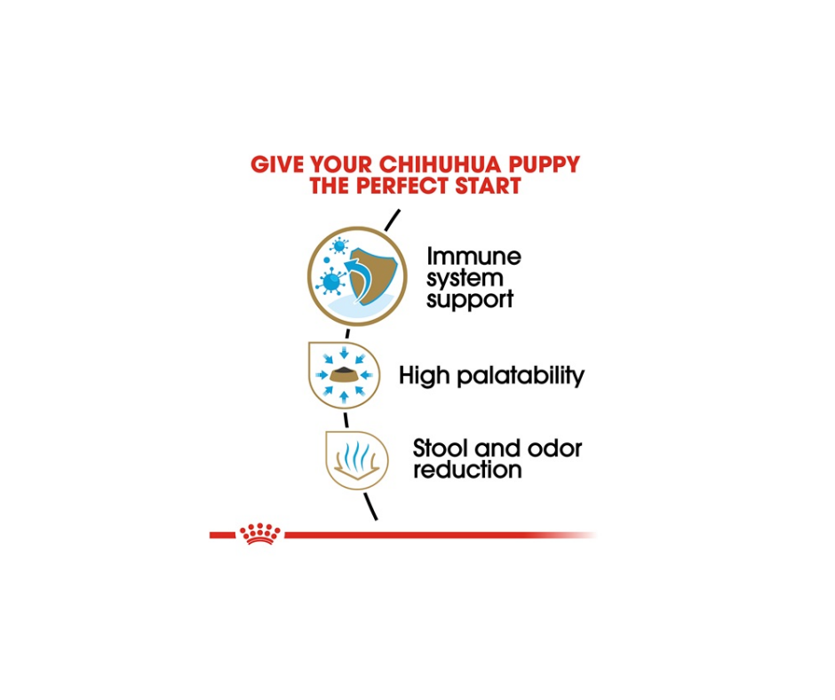 Royal Canin - Chihuahua Puppy Dry Dog Food