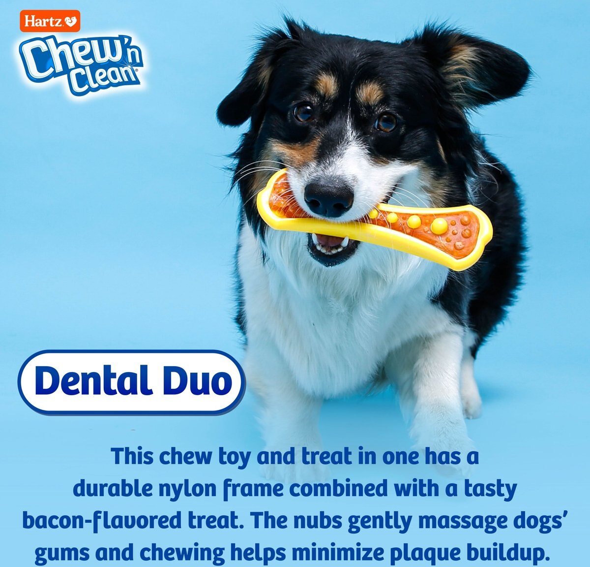 Hartz Chew 'n Clean Dental Duo Dog Treat and Chew Toy， Medium