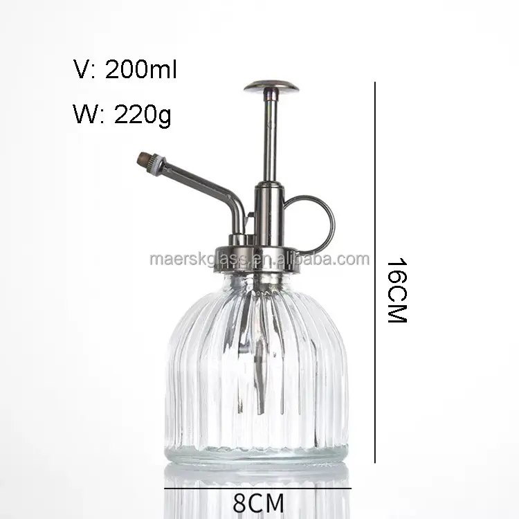 Glass Plant Mister Spray Bottle Plant Spritzer Small Watering Can Succulent Watering Bottle with Top Pump Sprayer