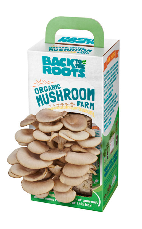 ORGANIC MUSHROOM FARM