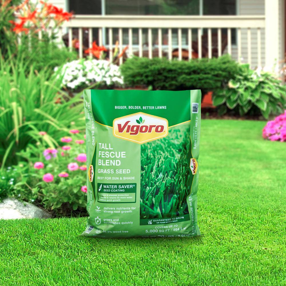 Vigoro 20 lbs. Tall Fescue Grass Seed Blend with Water Saver Seed Coating 25686