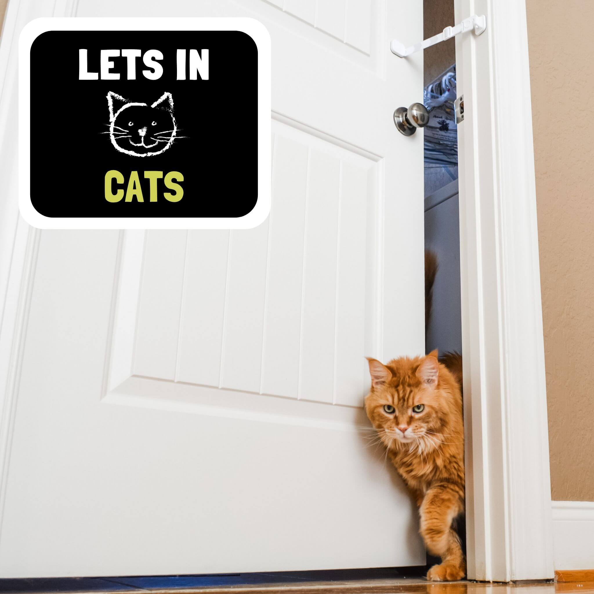 Door Buddy Adjustable Door Latch - 2 Pk. Keep Dog Out of Litter Box and Cat Food the Easy and Convenient Way.