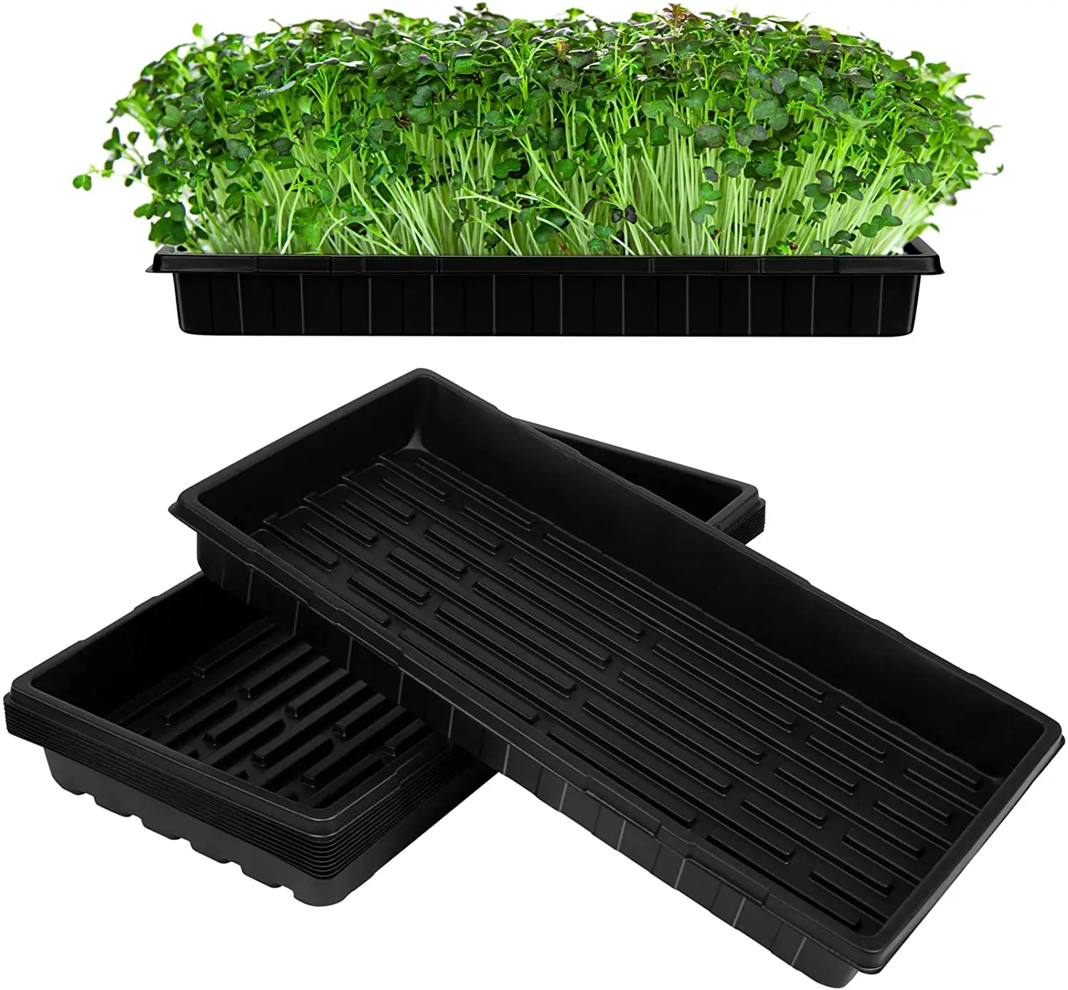 Seed Starter Trays 5 Pack Reusable  BPA Free 1020 Trays for Sprouting Seeds Seed Starter Kits   Gardening Supplies