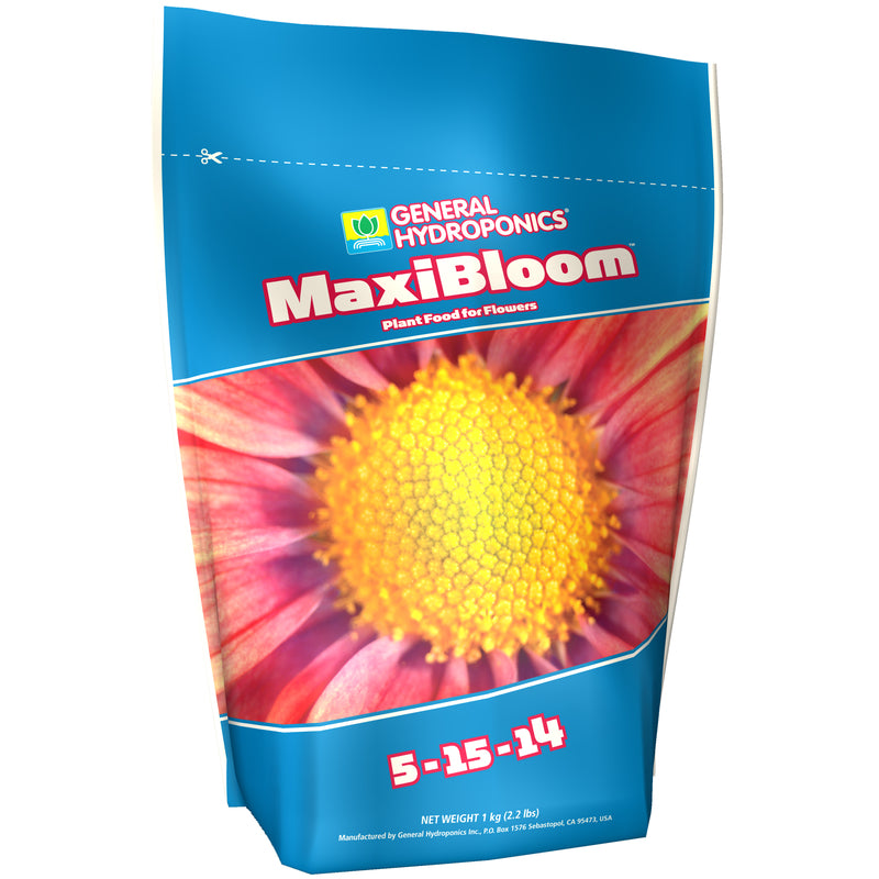 MAXI BLOOM 2.2 LB