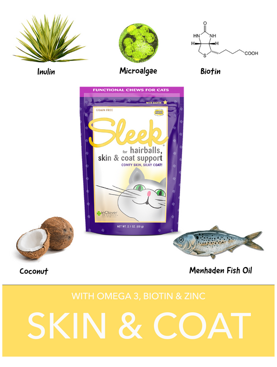 InClover Sleek Skin  Coat Cat Treats