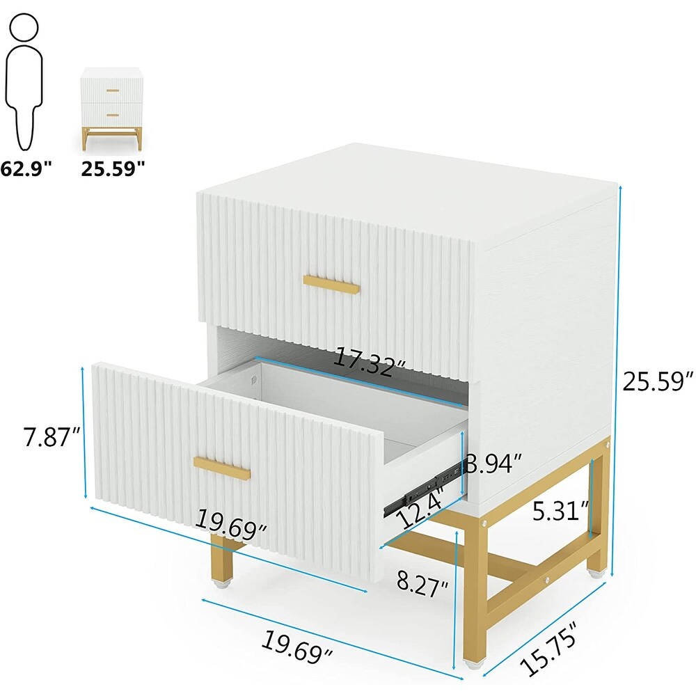 Nightstand 2 Drawer  Bed Side Table with Storage Cabinet End Table