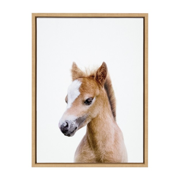 X 24 quot Sylvie Animal Studio Baby Horse Framed Canvas By Amy Peterson Natural Kate amp Laurel All Things Decor