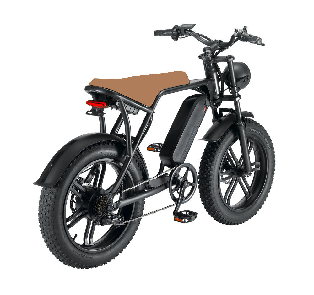 Sport Pedal Assist Ebike Electric Bicycle Electric Cycle Mountain Bike Retro Fat Tire Electric Bike 750w Fatbikes