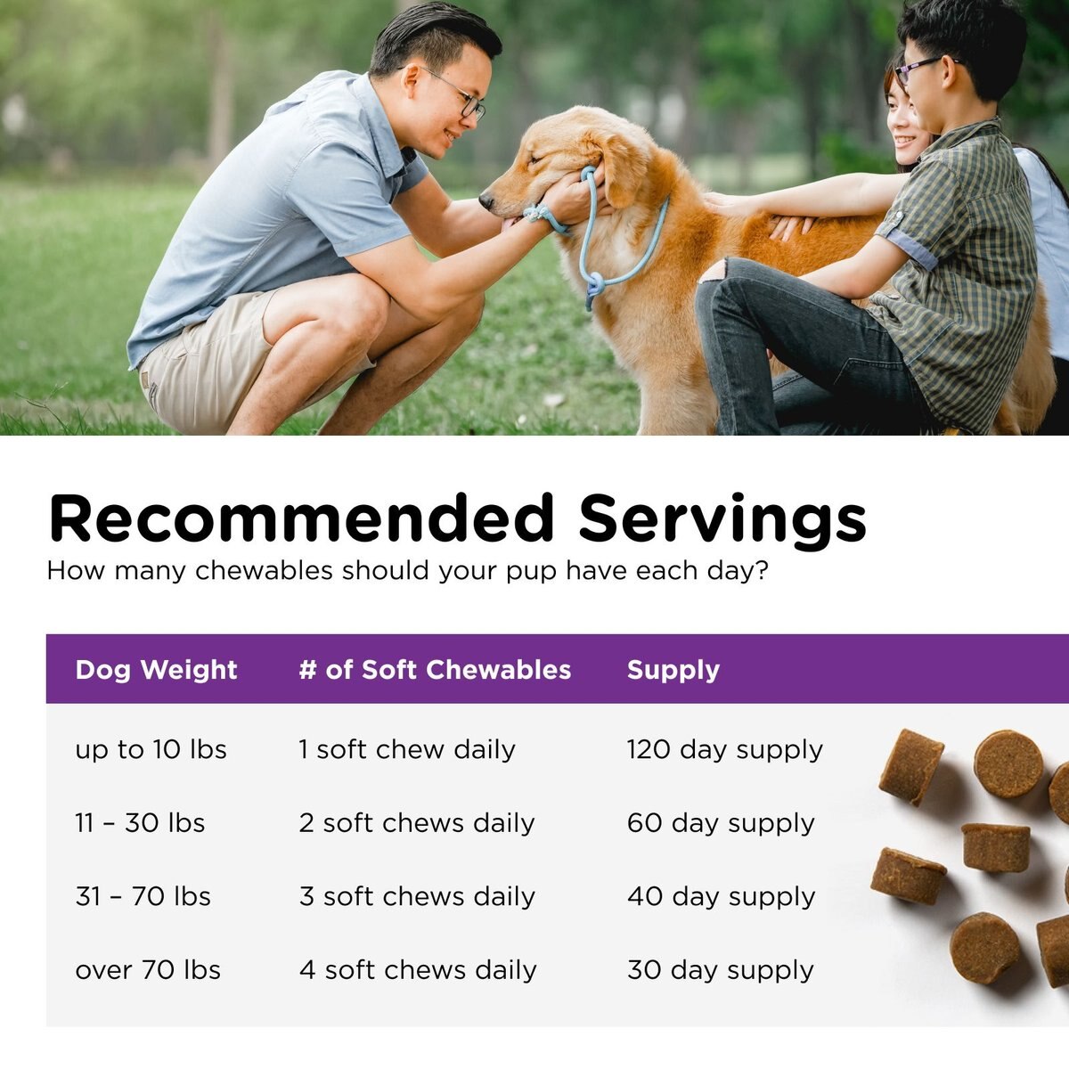 Nutri-Vet Pre and Probiotics Soft Chews Digestive Supplement for Dogs