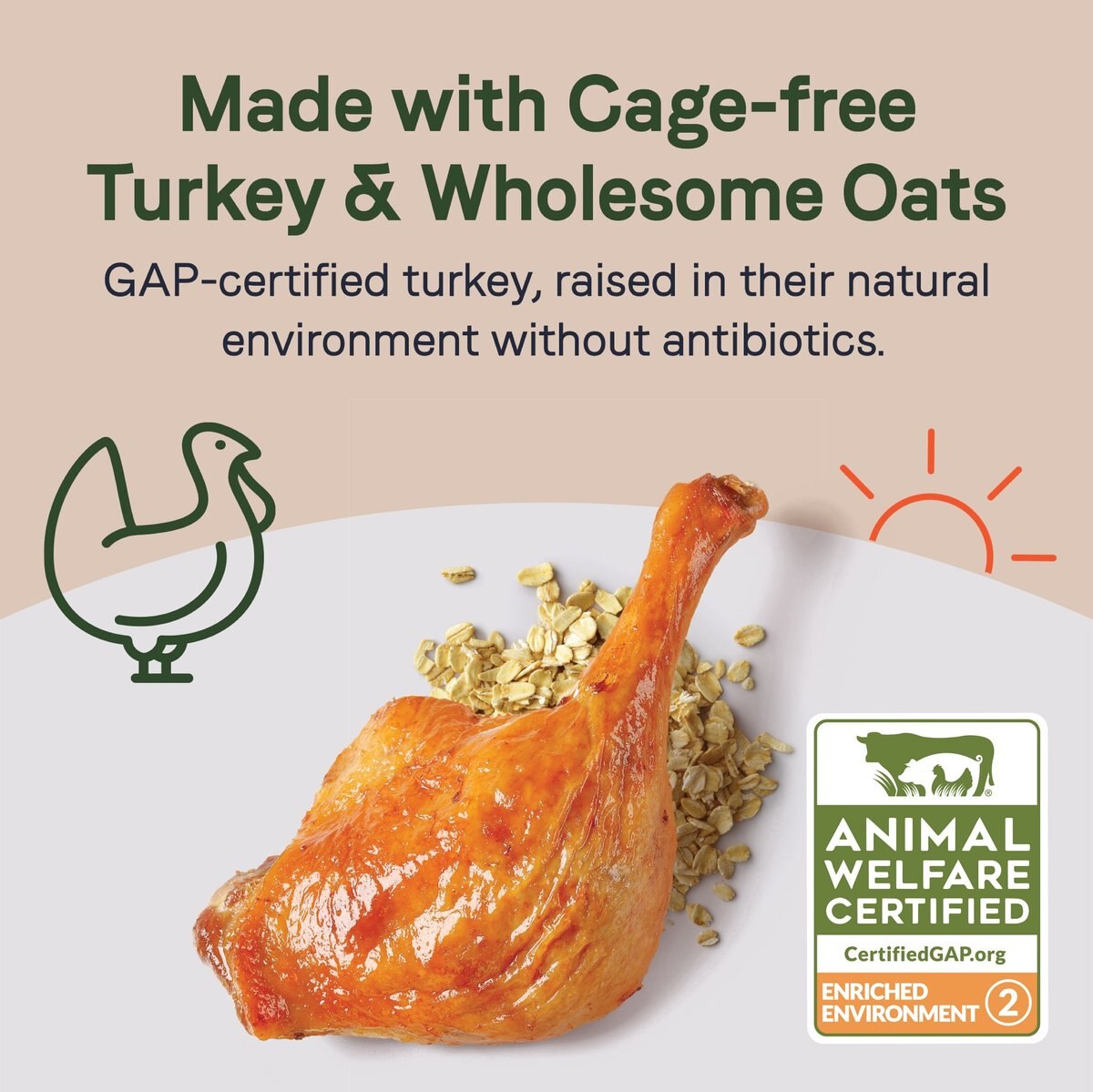 CANIDAE Sustain Wholesome Pates Premium Recipe with Cage-Free Turkey Wet Dog Food， 11.5-oz box， case of 12