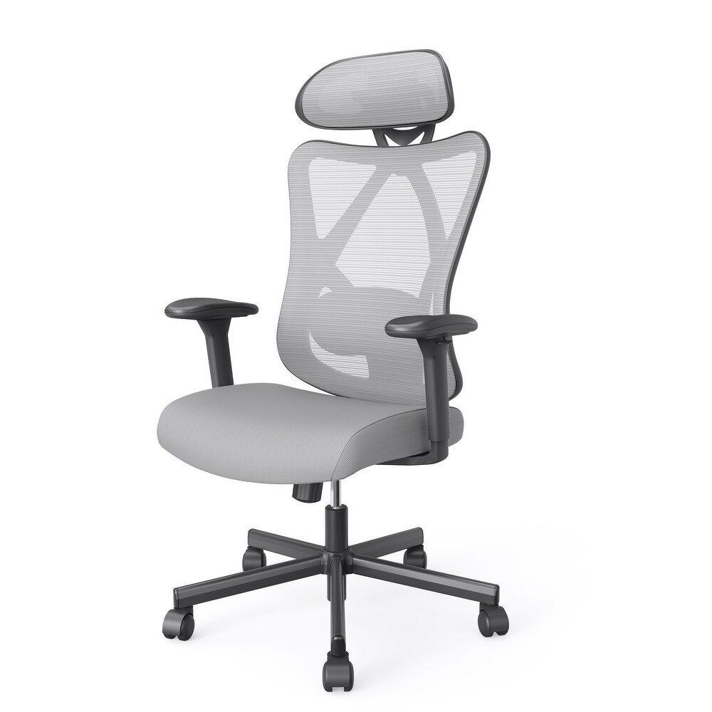 Mcintosh Contemporary Ergonomic Height Adjustable Desk Chair by Furniture of America