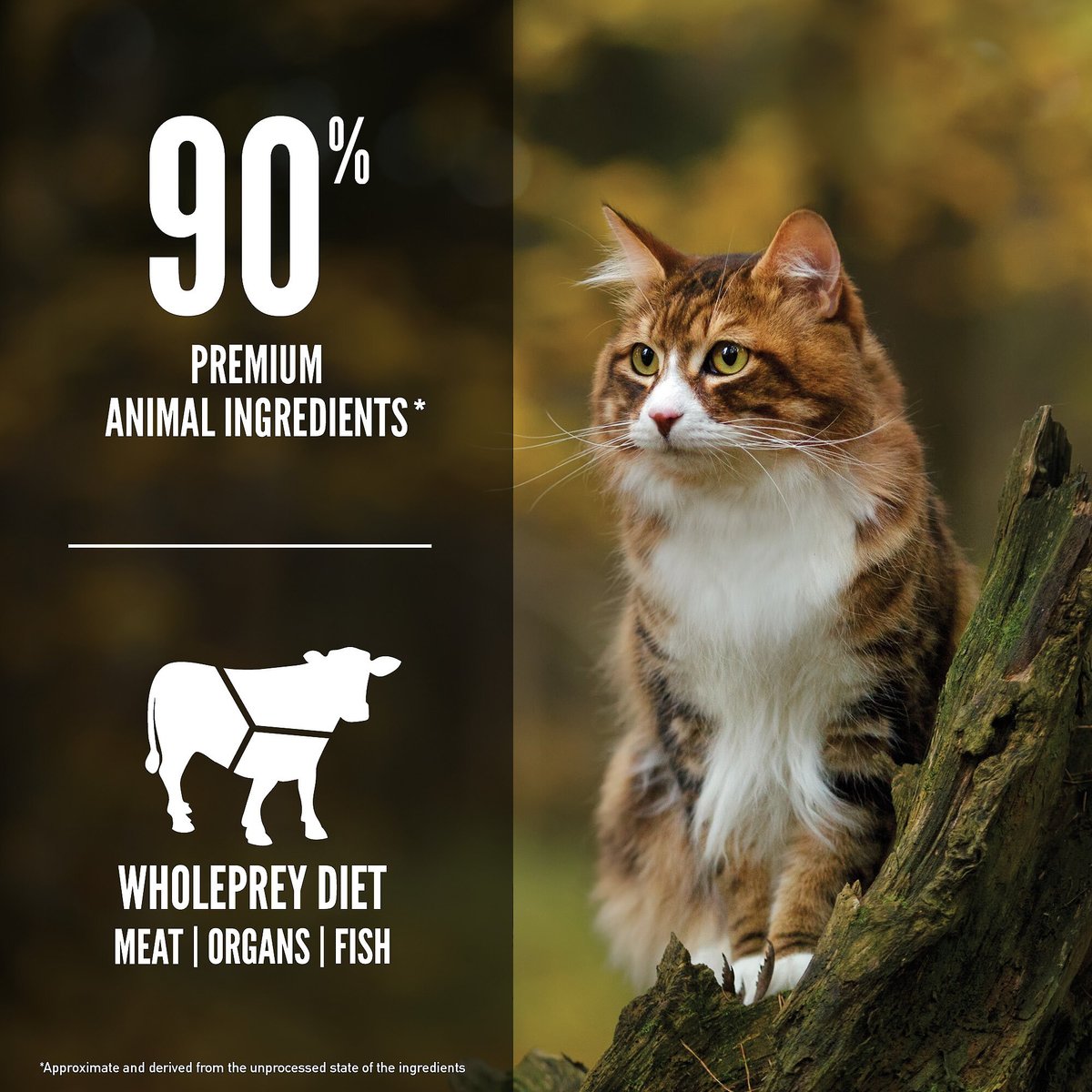 ORIJEN Regional Red Grain-Free Dry Cat Food