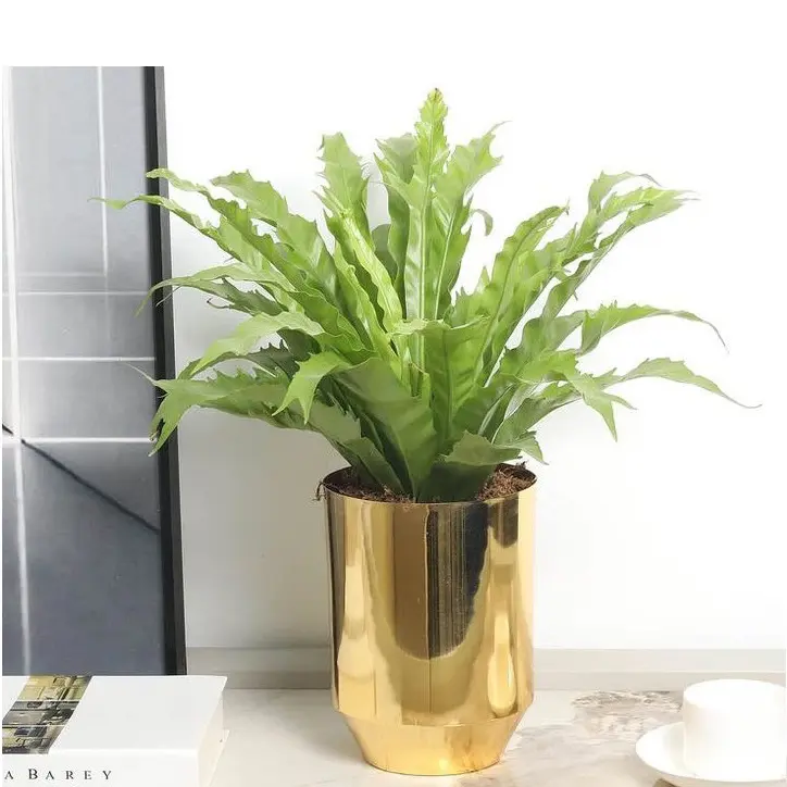 Home Interior Design Copper Metal Planter Home Indoor Outdoor Garden Usage Customized Size Metal Planter