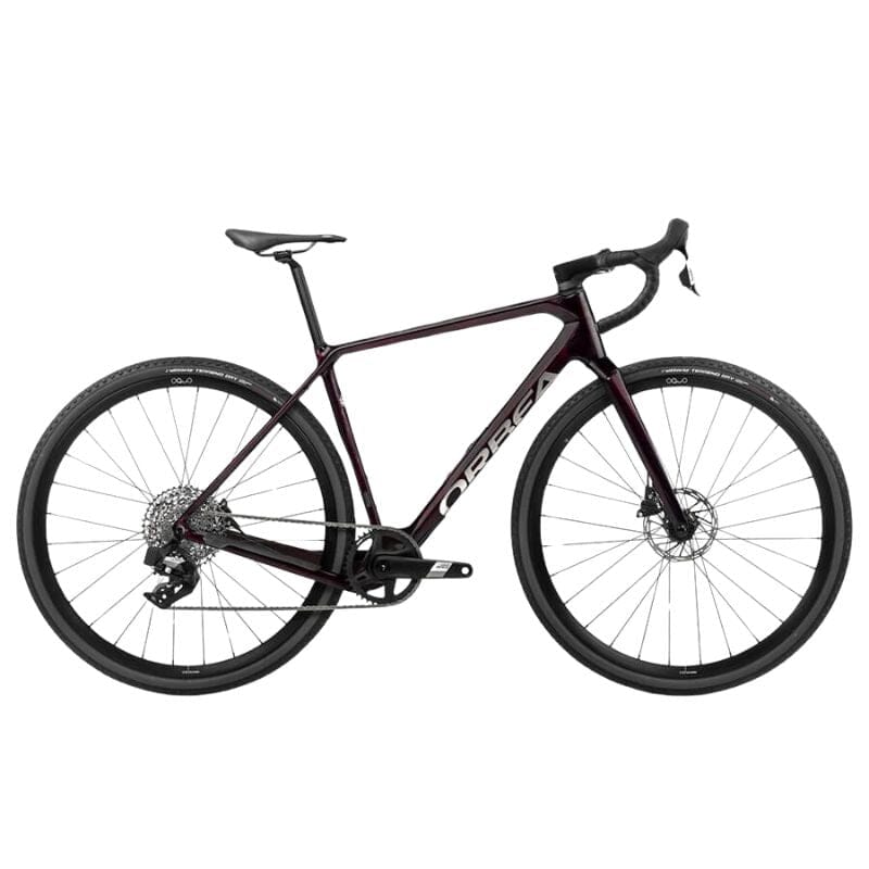 Orbea Terra M41E TEAM 1X
