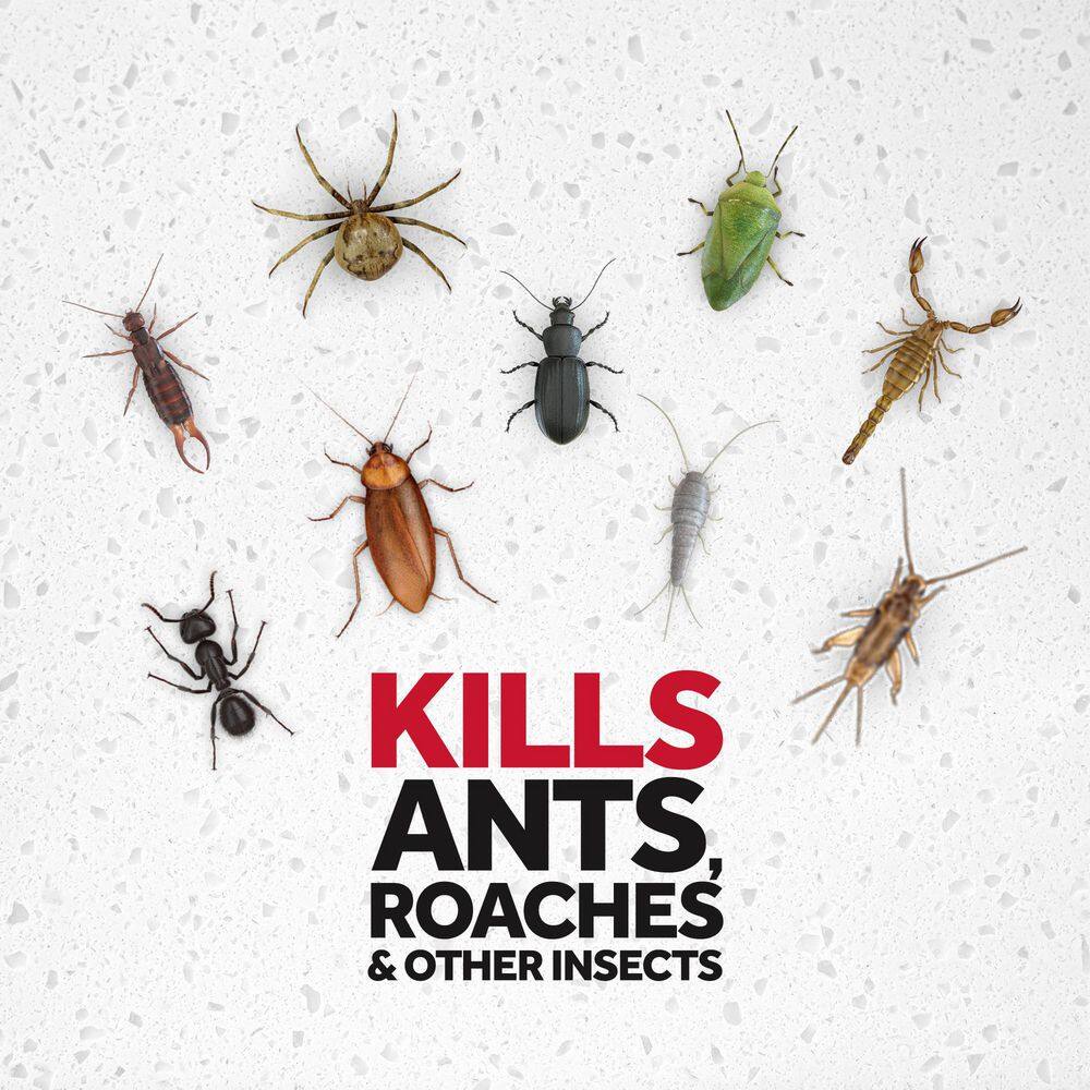 Raid 20 oz. Defend Ant and Roach Killer Outdoor Fresh SCJ327307