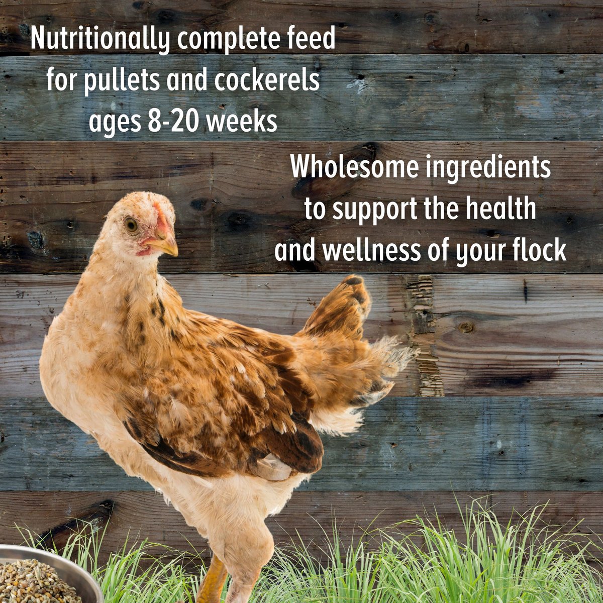 Scratch and Peck Feeds Naturally Free Organic Grower Poultry Feed