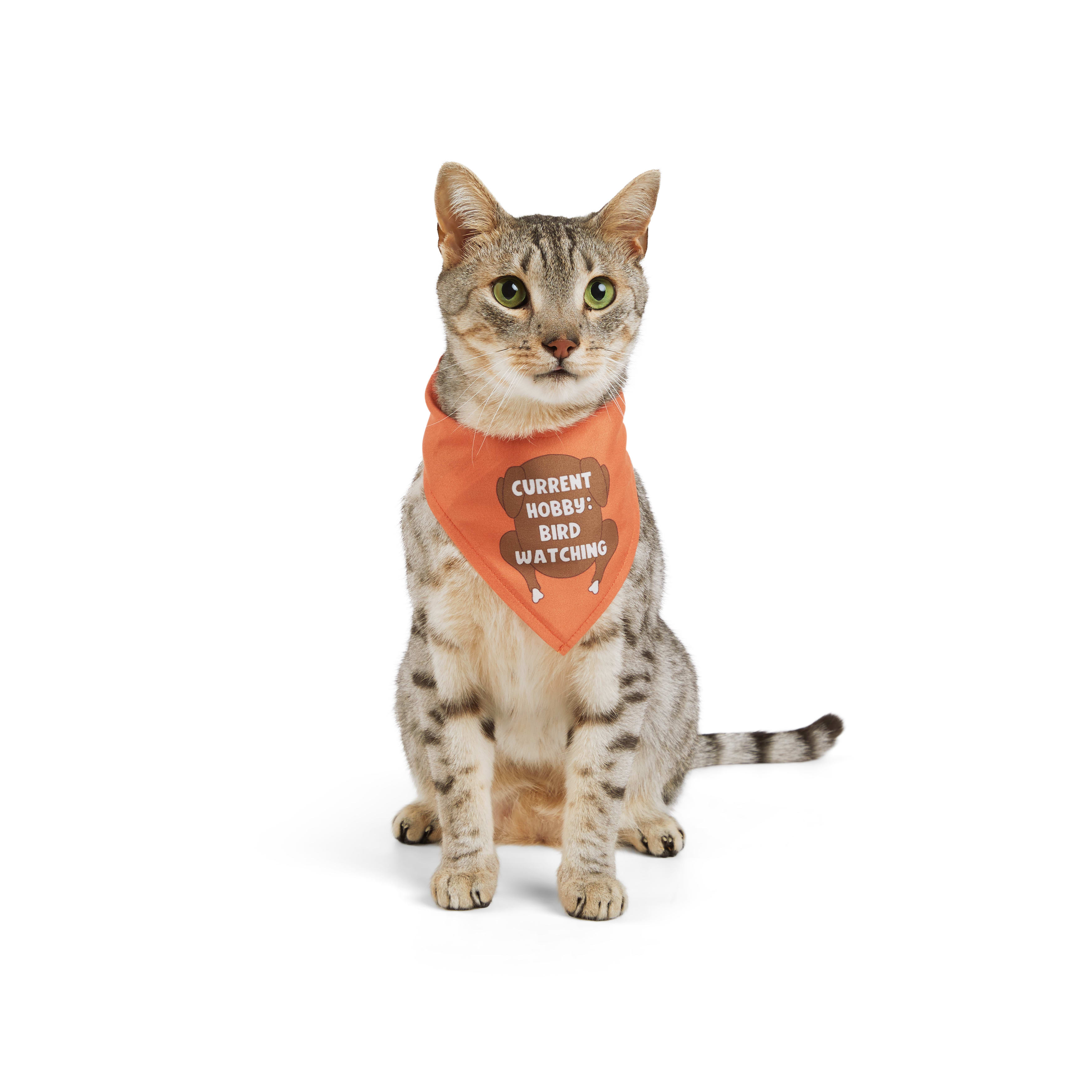 YOULY Thanksgiving Cat Bandana， Small/Medium