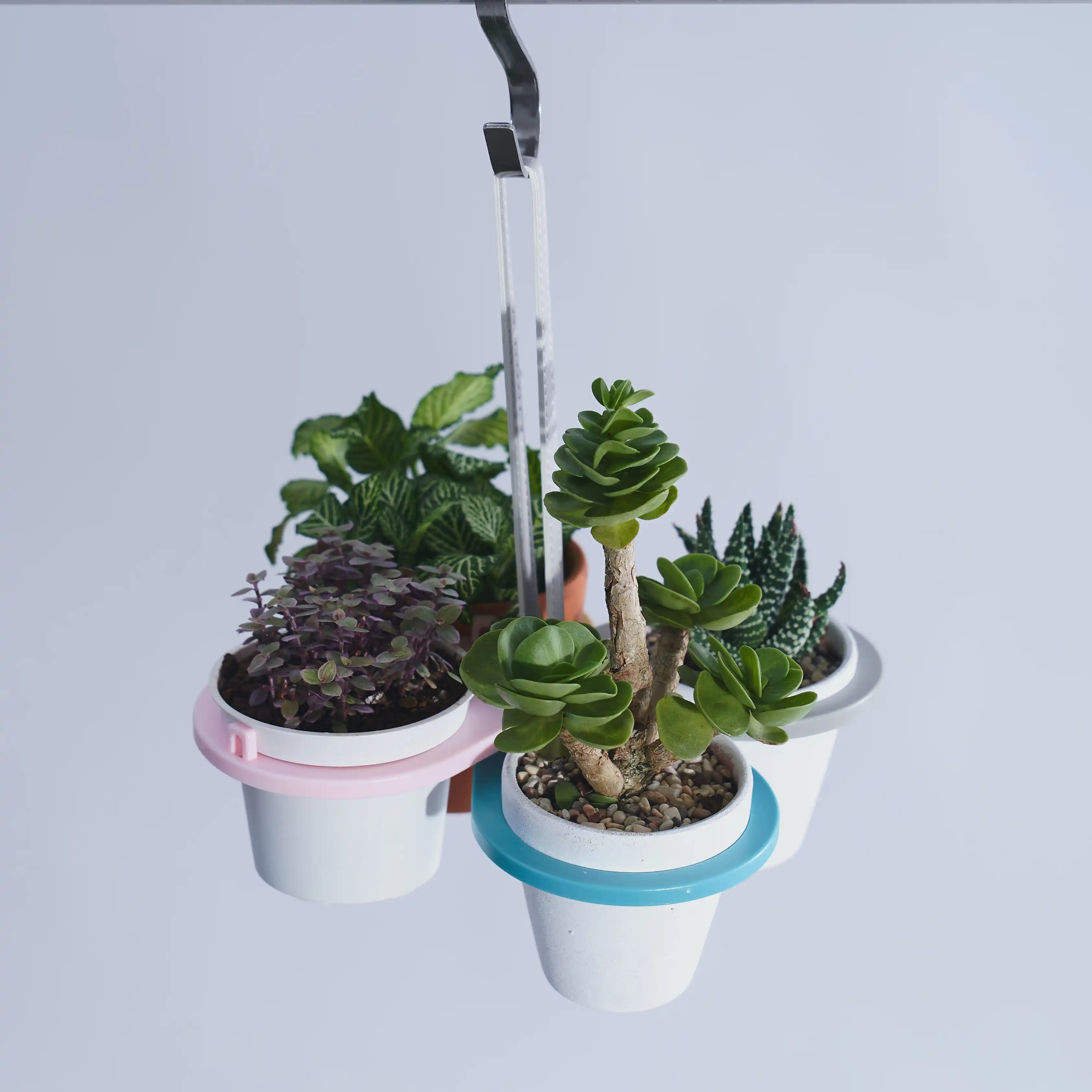 Exclusive Supply High Standard recycled plastic exchange presents for Hanging Flower Pot