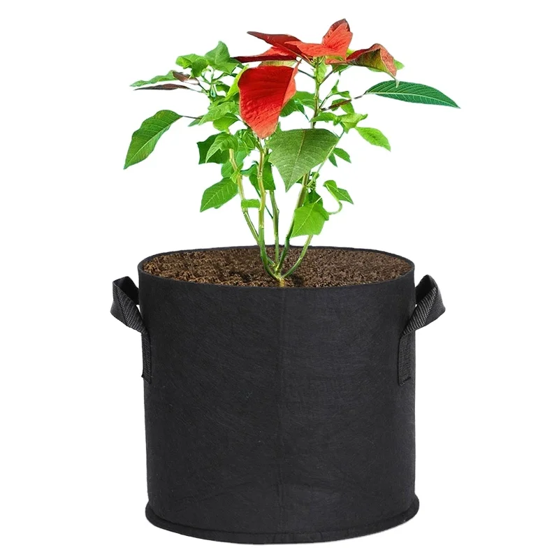 High quality Wholesale permeable breathable plant 5 gallon felt garden bag for garden home vegetable farms grow bags Vietnam