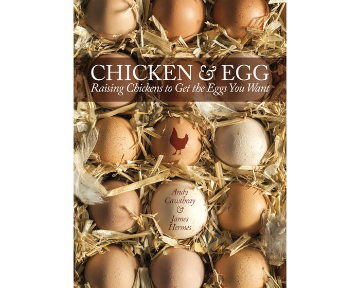 Companion Books Chicken and Egg