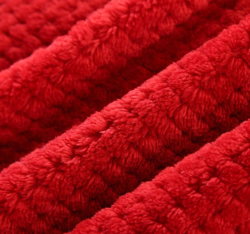 Christmas Sale-Ultra warm plush blanket for home