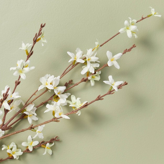 Faux Forsythia Flowering Branch With Magnolia