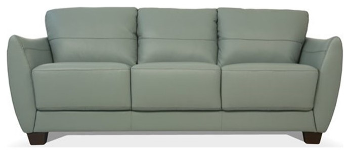 ACME Valeria Leather Sofa in Watery   Transitional   Sofas   by Homesquare  Houzz