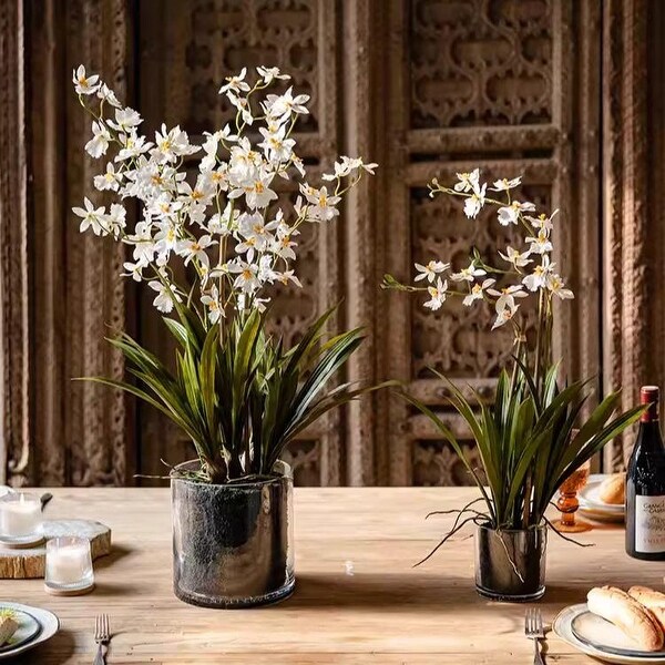 RusticReach White Hui Lan Orchid in Glass Pot