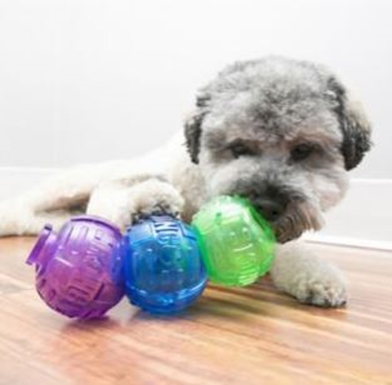 Kong Lock It Dog Toy， Small， 3PK