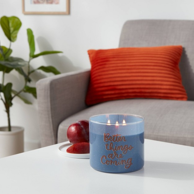 3 wick 14oz Better Things Are Coming Plum Blush Candle