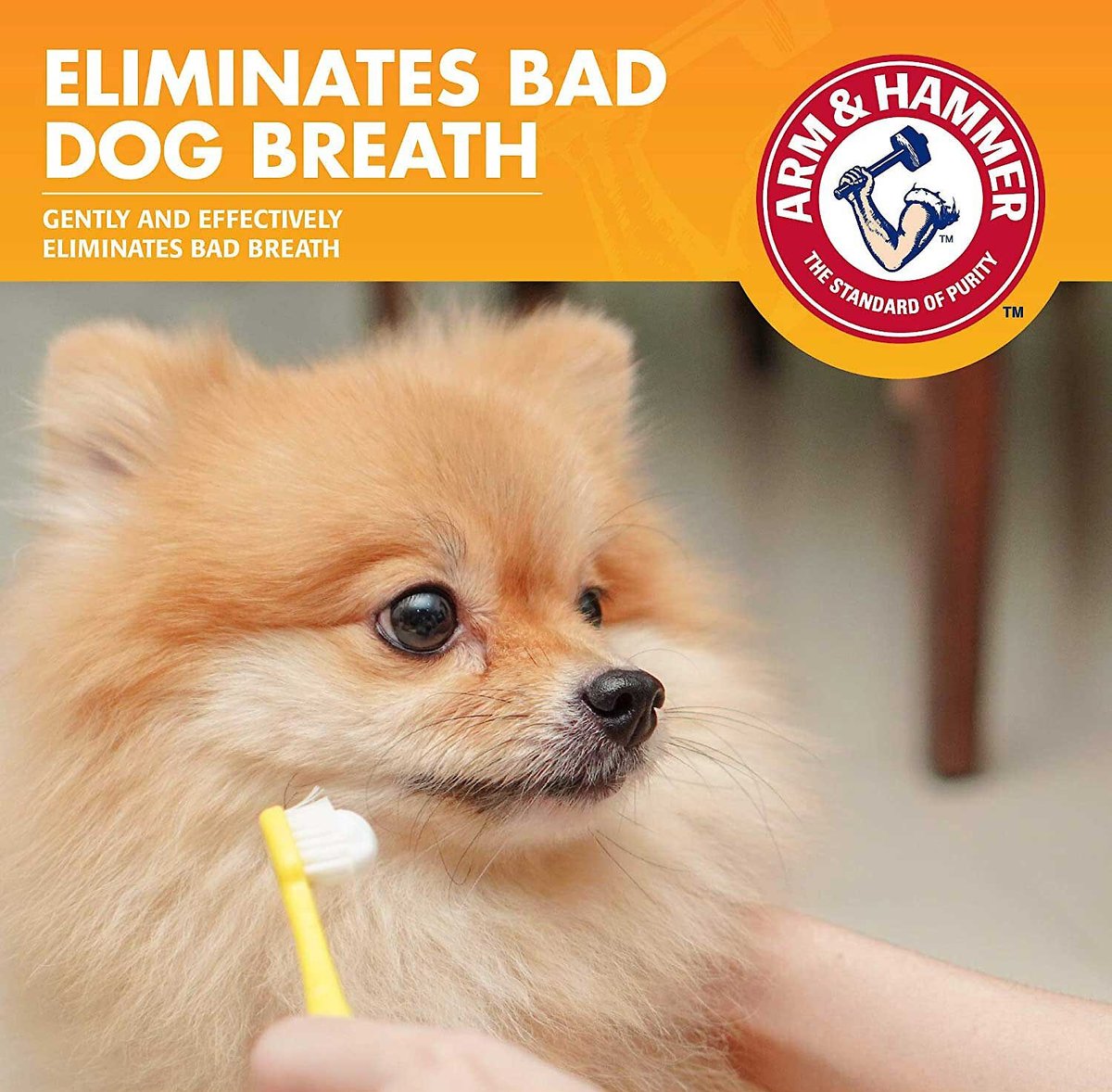 Arm and Hammer Fresh Breath Vanilla-Ginger Flavored Enzymatic Dog Toothpaste