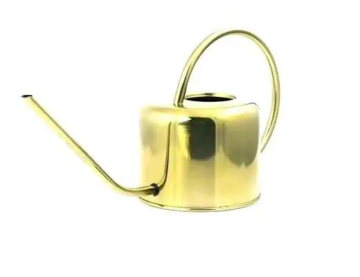 Shiny Gold Plated Metal Watering Cane Bulk Purchase Decorative Small Size Water Cane At Reasonable Price