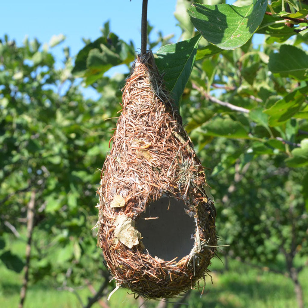 Bird House Feeder Nesting Box Hanging # Drop 2